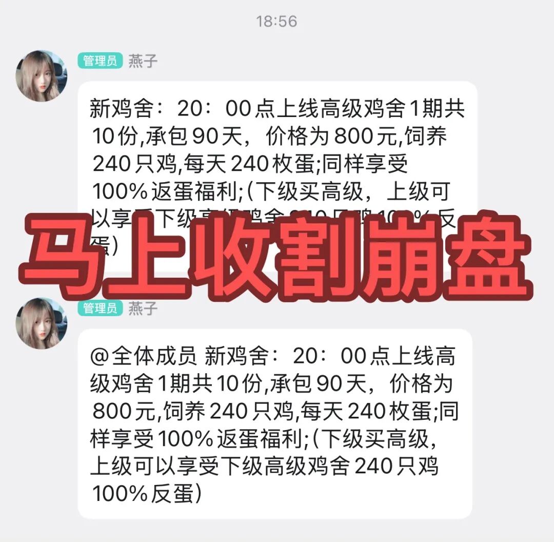 原文图片