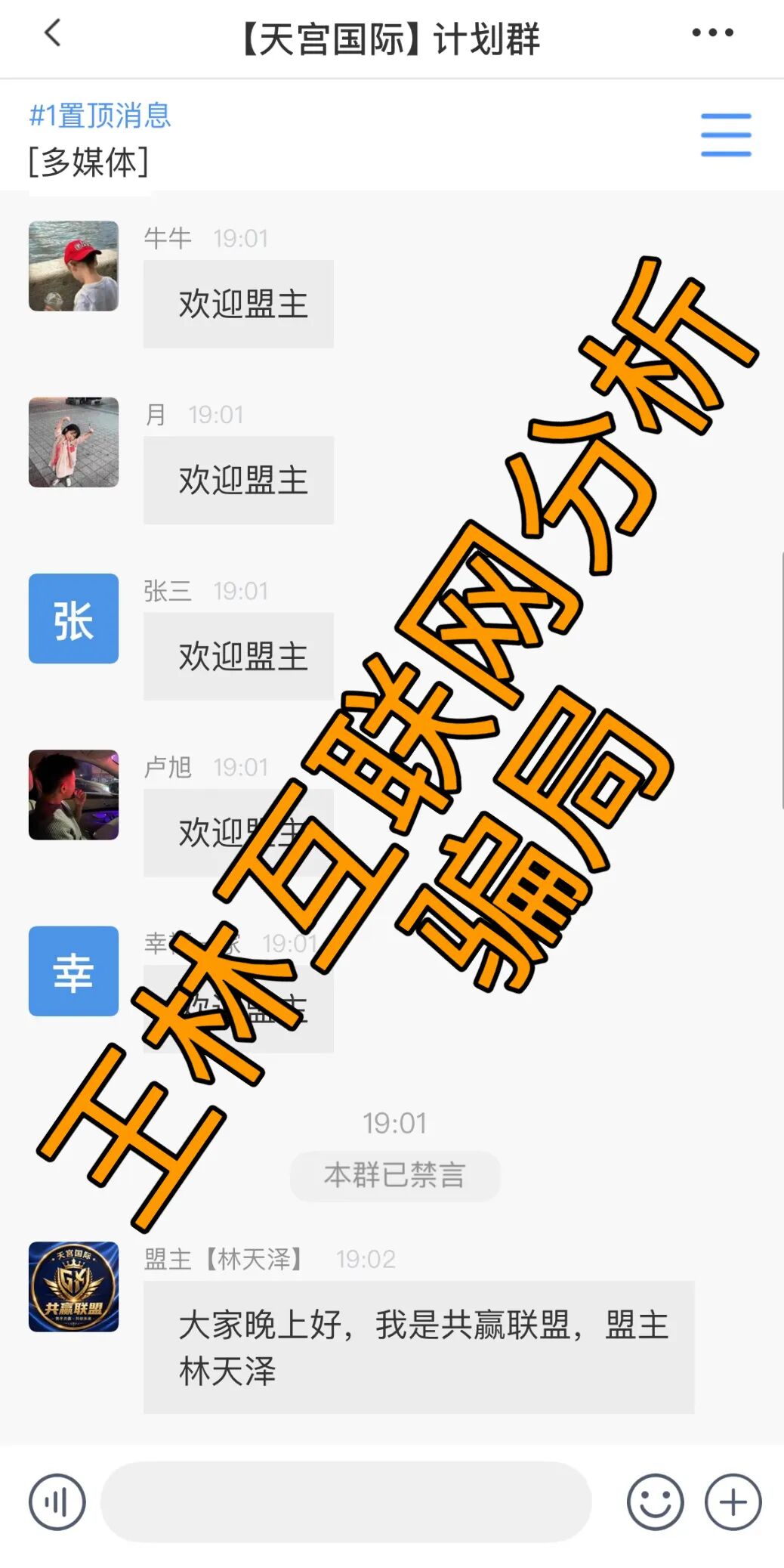 原文图片