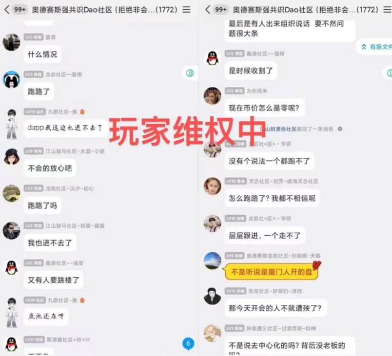 原文图片